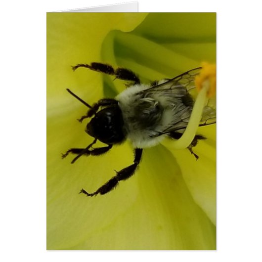 BEE AWESOME - CHRISTIAN GREETING (Front)