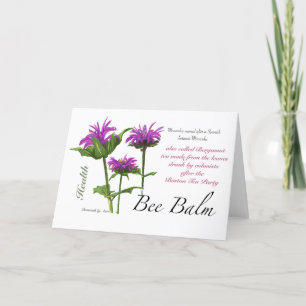 Bee Balm Blank Card