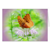 Bee Balm Butterfly - Fritillary (Front Horizontal)