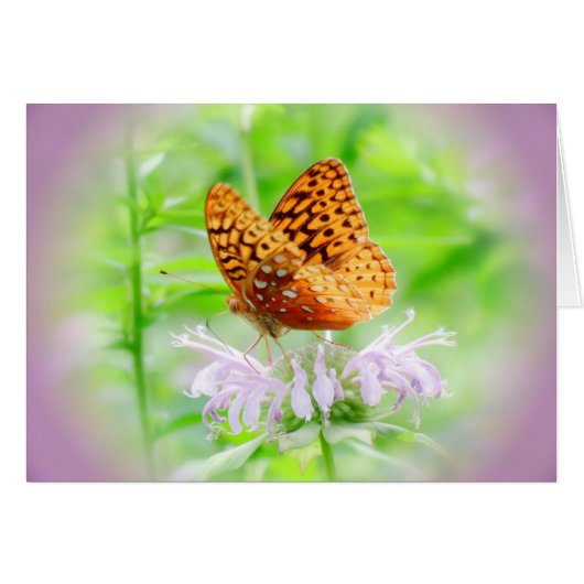 Bee Balm Butterfly - Fritillary Cards (Front Horizontal)