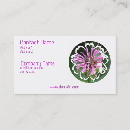 Customizable Bee Balm Flowers Business Card