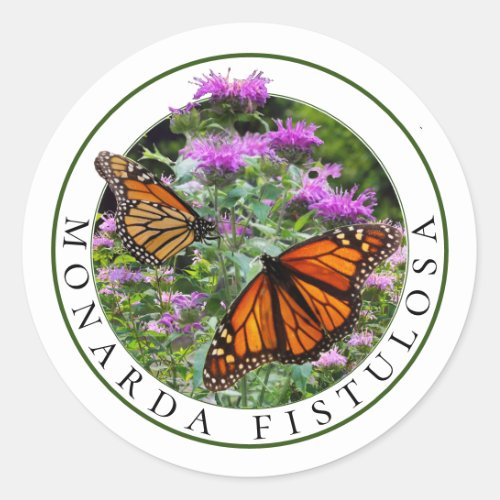 Bee Balm Monarda and Monarch Butterflies Classic Round Sticker