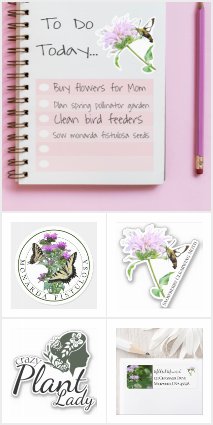 Bee Balm Touch of Elegance