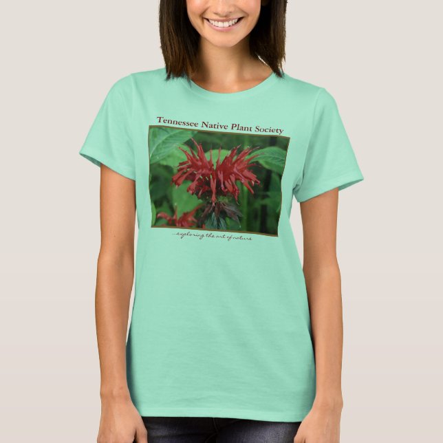 Bee Balm Tshirt (Front)