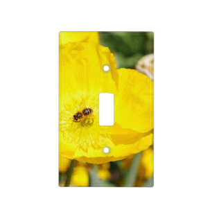 Bee Bathed in Yellow Light Switch Cover
