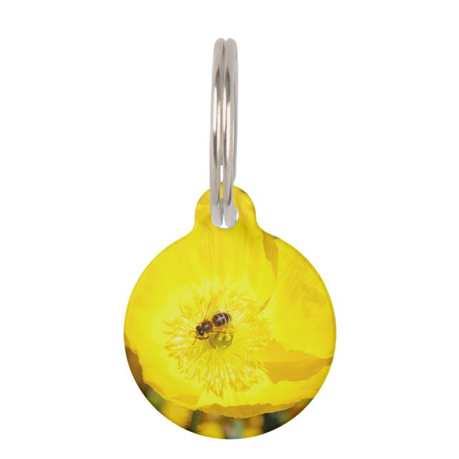 Bee Bathed in Yellow  Pet ID Tag (Front)