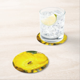 Bee Bathed in Yellow Round Paper Coaster
