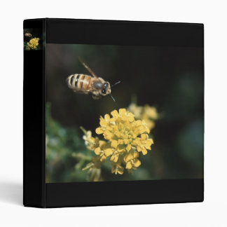 bee binder