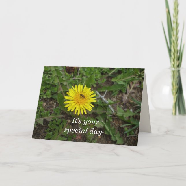 Bee Birthday For All Card (Front)