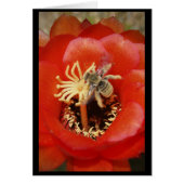 Bee breakfast cards (Front)