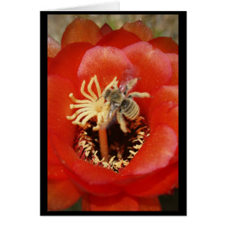 Bee breakfast cards