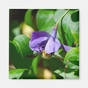 Bee Busy Magnet