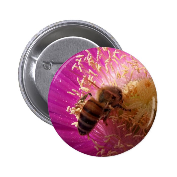 Bee Buttons