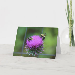 Bee, card