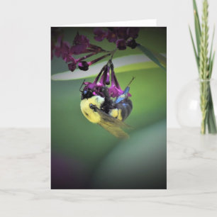 Bee, card