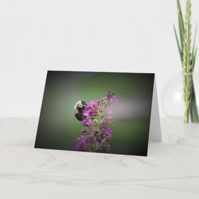 Bee, card (Front)