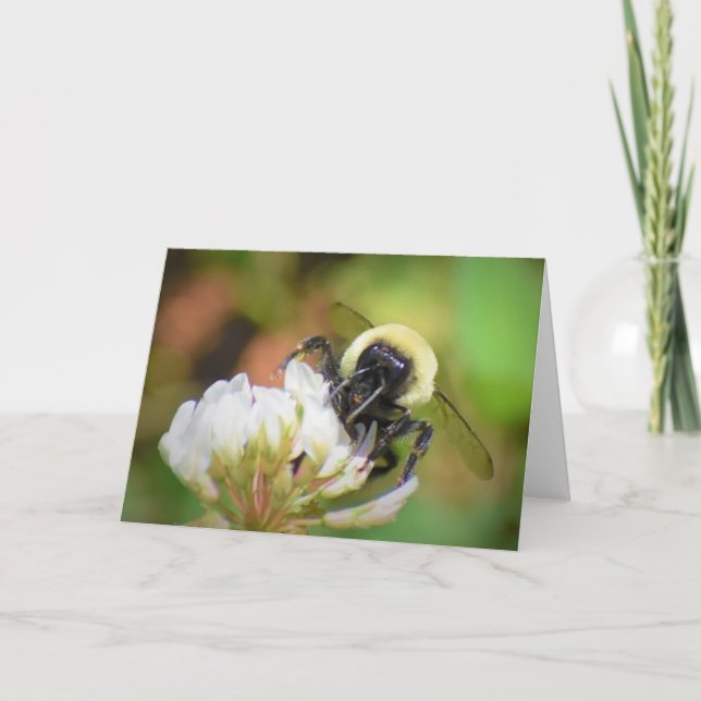 Bee, card (Front)