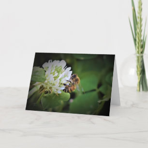 Bee, card