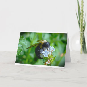 Bee, card