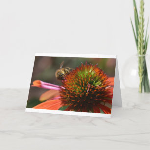 Bee, card