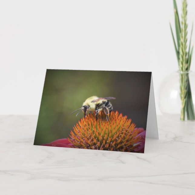 Bee, card (Front)