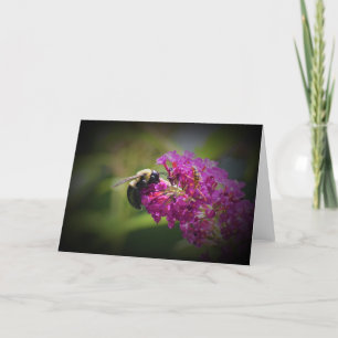 Bee, card