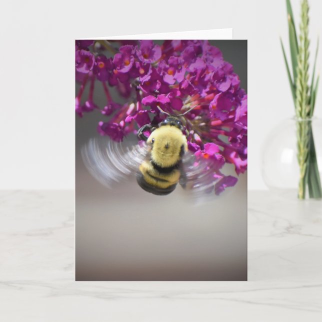 Bee, card (Front)