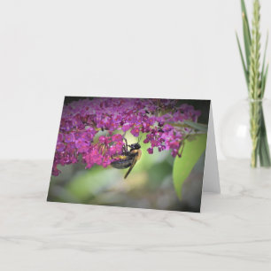 Bee, card