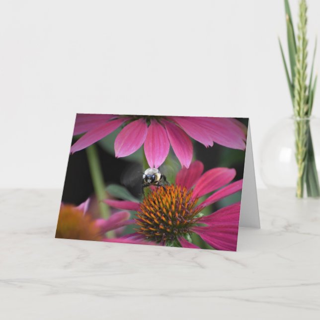 Bee, card (Front)