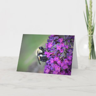 Bee, card