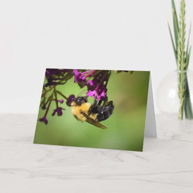 Bee, card (Front)
