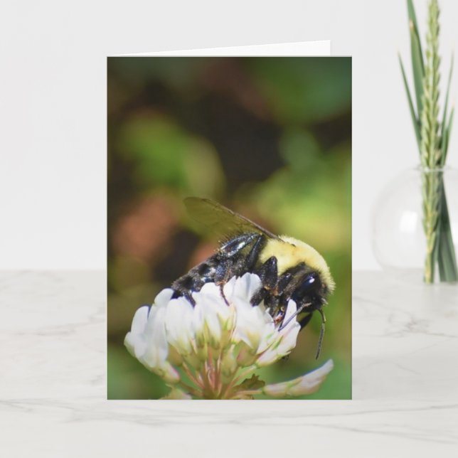 Bee, card (Front)