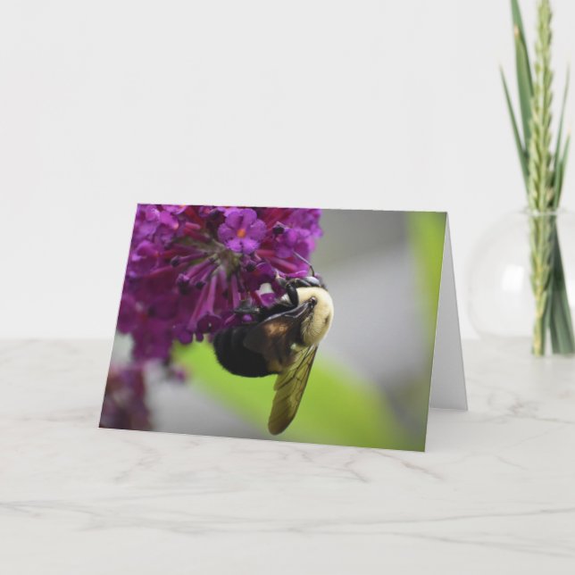 Bee, card (Front)