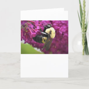 Bee, card