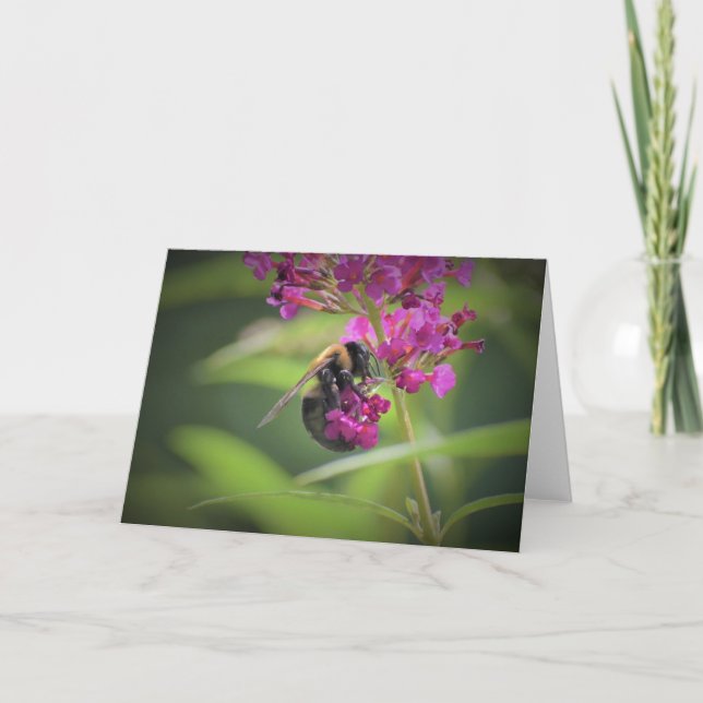 Bee, card (Front)