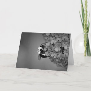 Bee, card