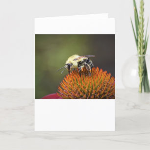Bee, card