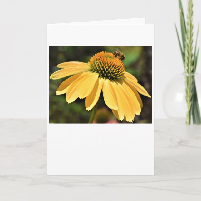 Bee, card (Front)