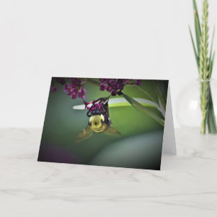 Bee, card
