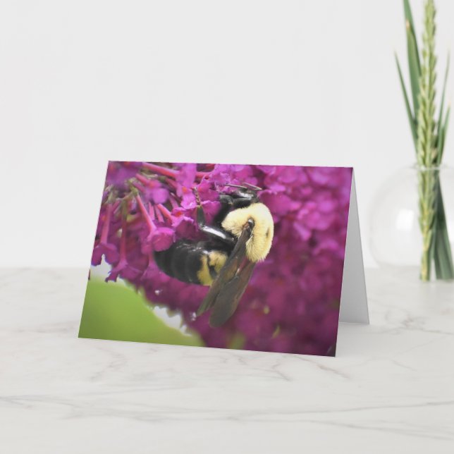 Bee, card (Front)