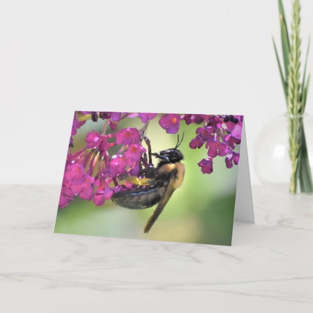 Bee, card (Front)