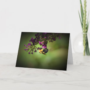 Bee, card