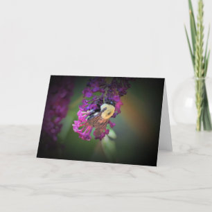 Bee, card