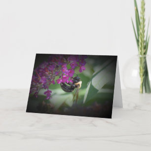 Bee, card