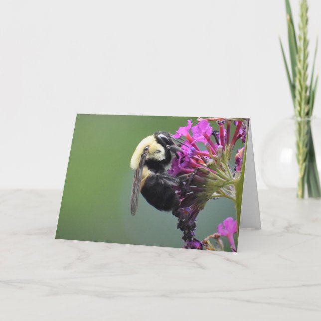 Bee, card (Front)