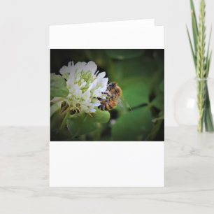 Bee, card