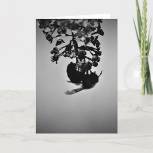 Bee, card