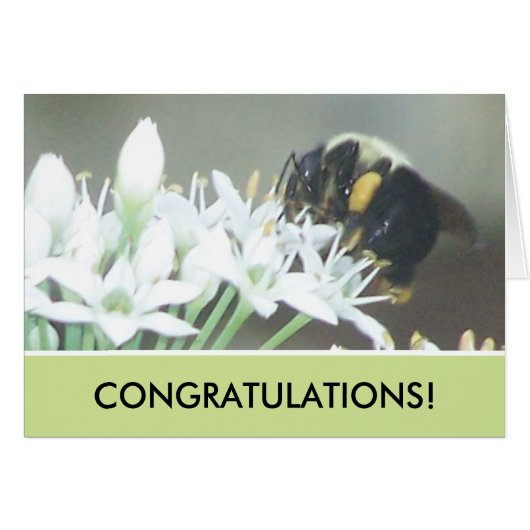 Bee Cards (Front Horizontal)