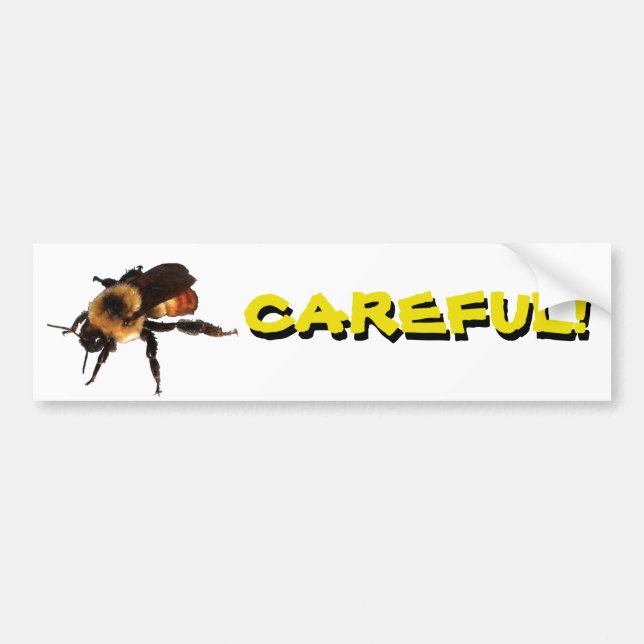 "Bee" Careful! meme Bumper Sticker (Front)