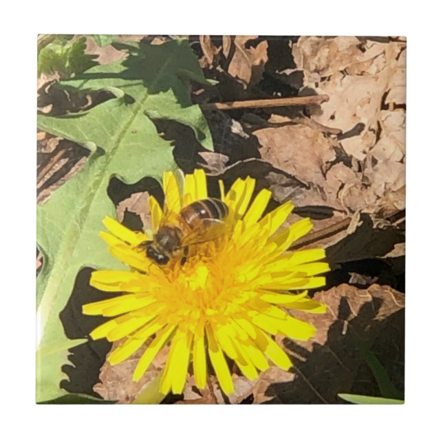 Bee Ceramic Tile (Front)